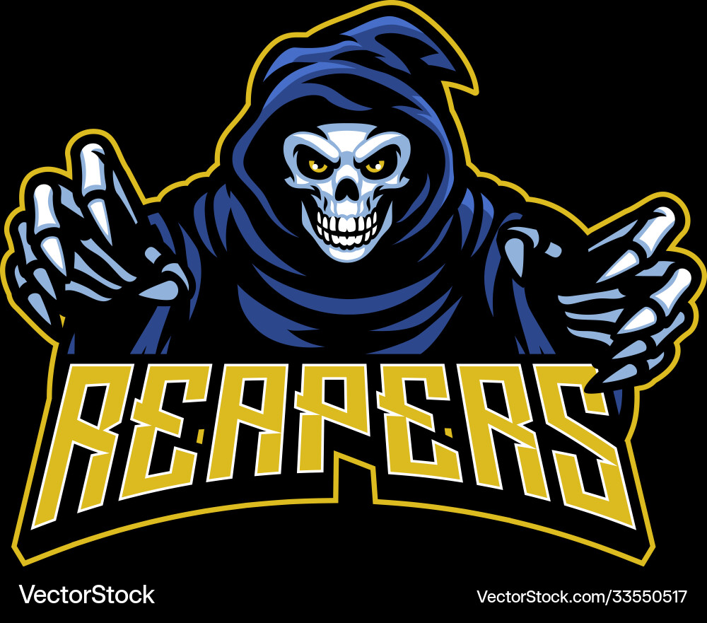 Grim Reaper Skull Mascot vector image