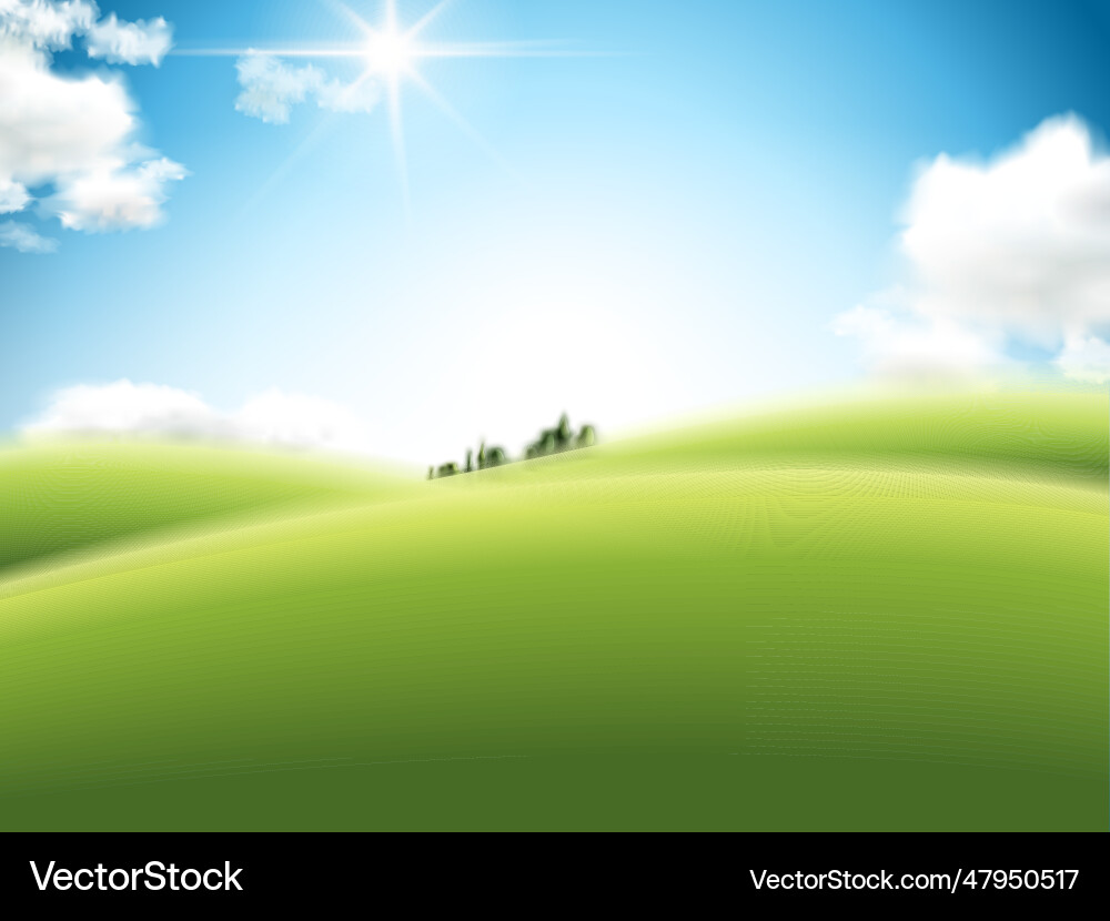 Open fields Vector Image