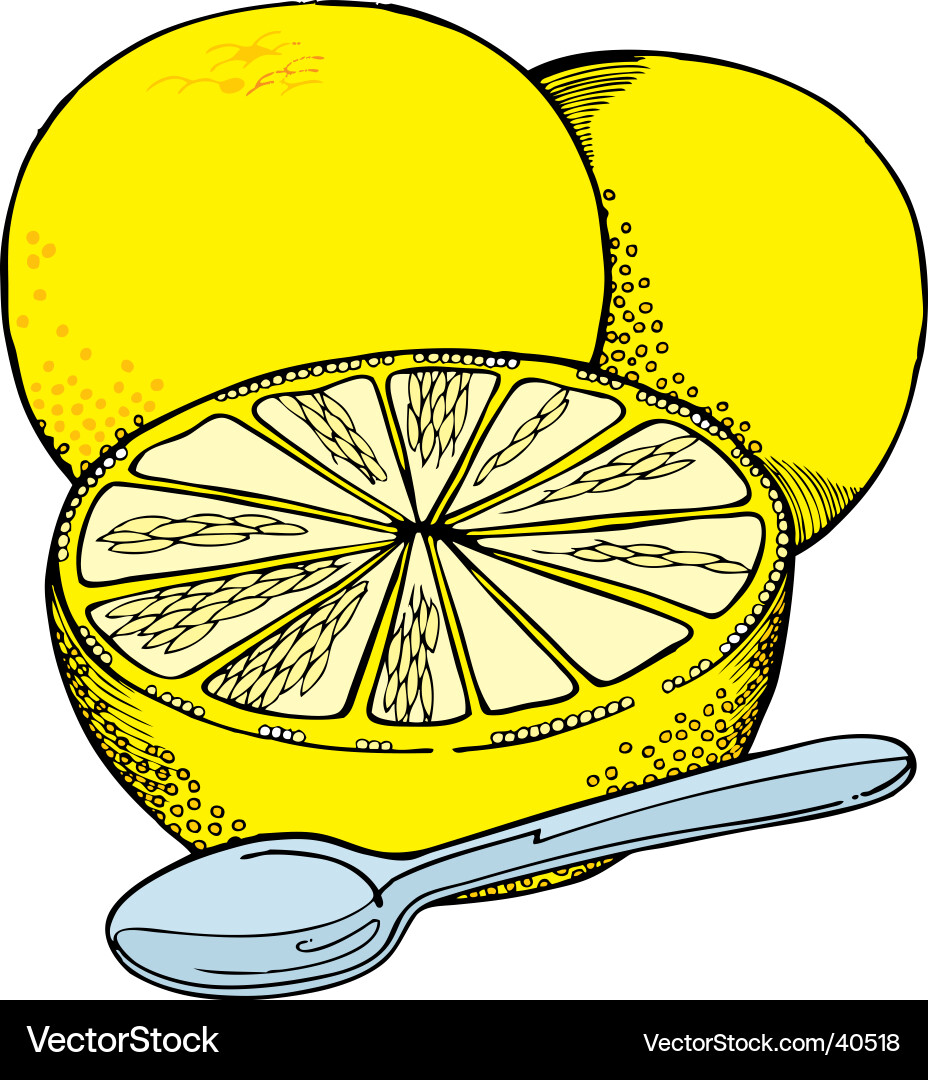 Citrus Half - Grapefruit Slice Vector Image