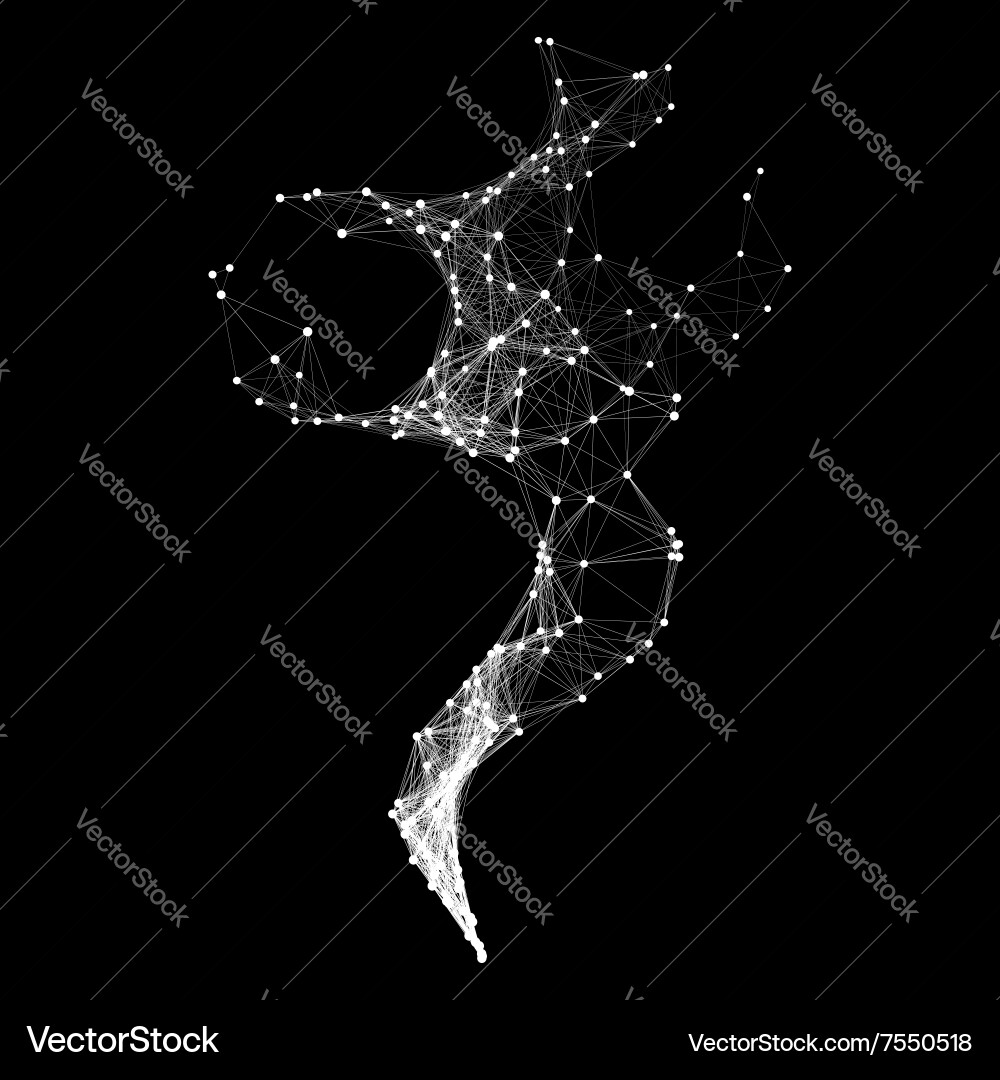 Connection structure wireframe vector image