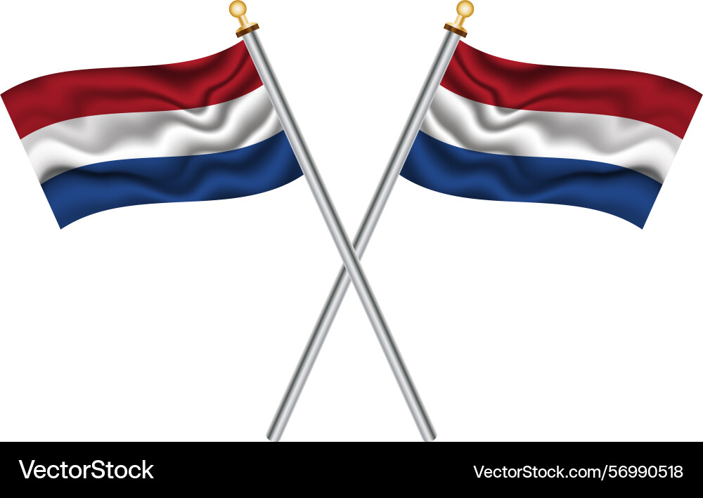 Two crossed national flags of netherlands Vector Image