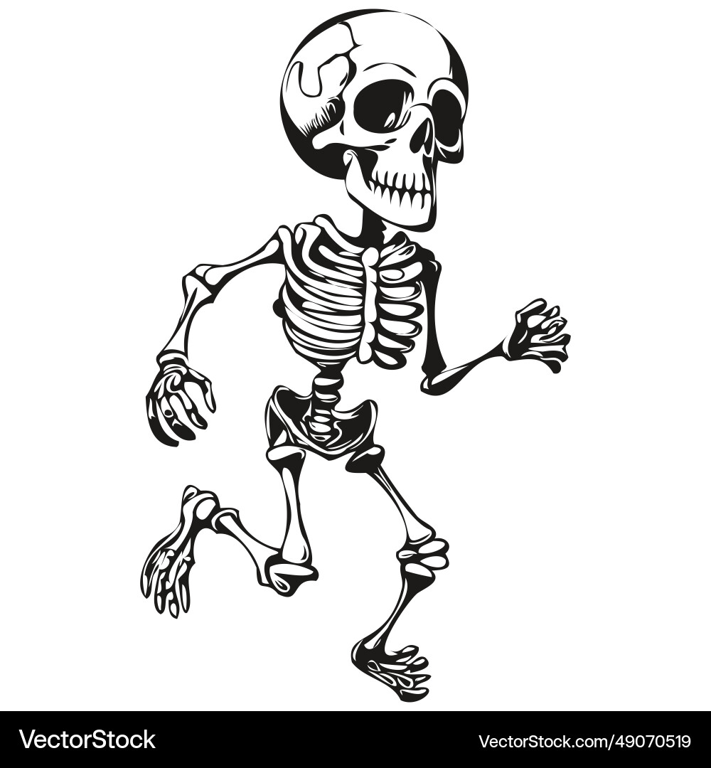 Transparent halloween image of a skeleton entity Vector Image