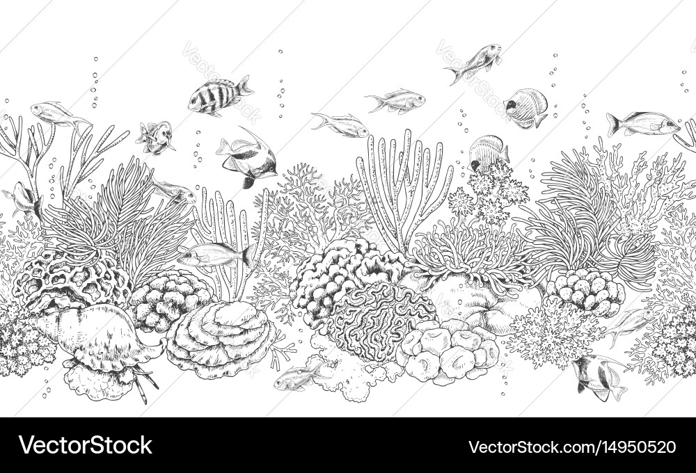 Submerged Reef Pattern Vector Image