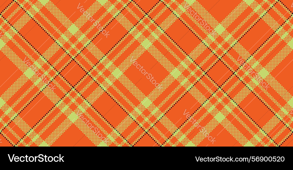 Vibrant plaid pattern with intersecting lines vector image