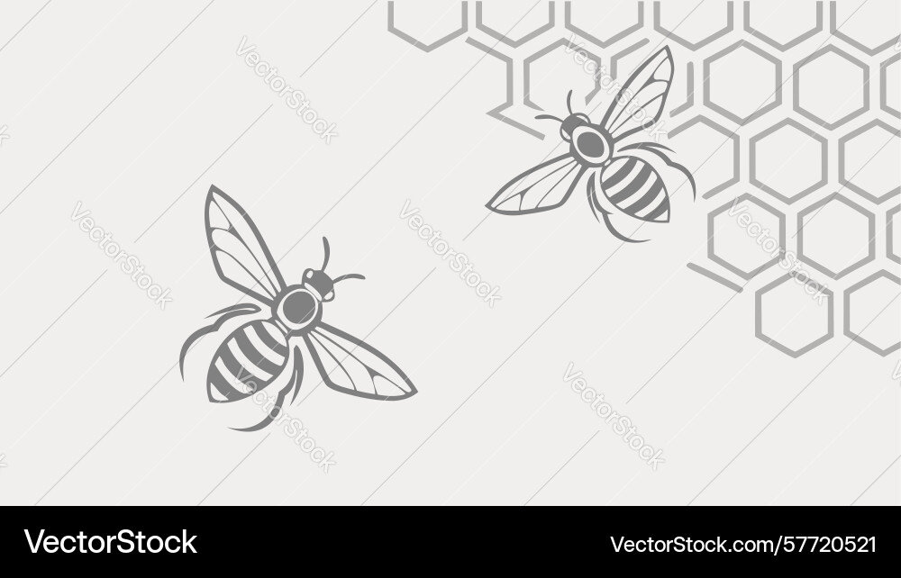 Charming bee and honeycomb pattern background Vector Image