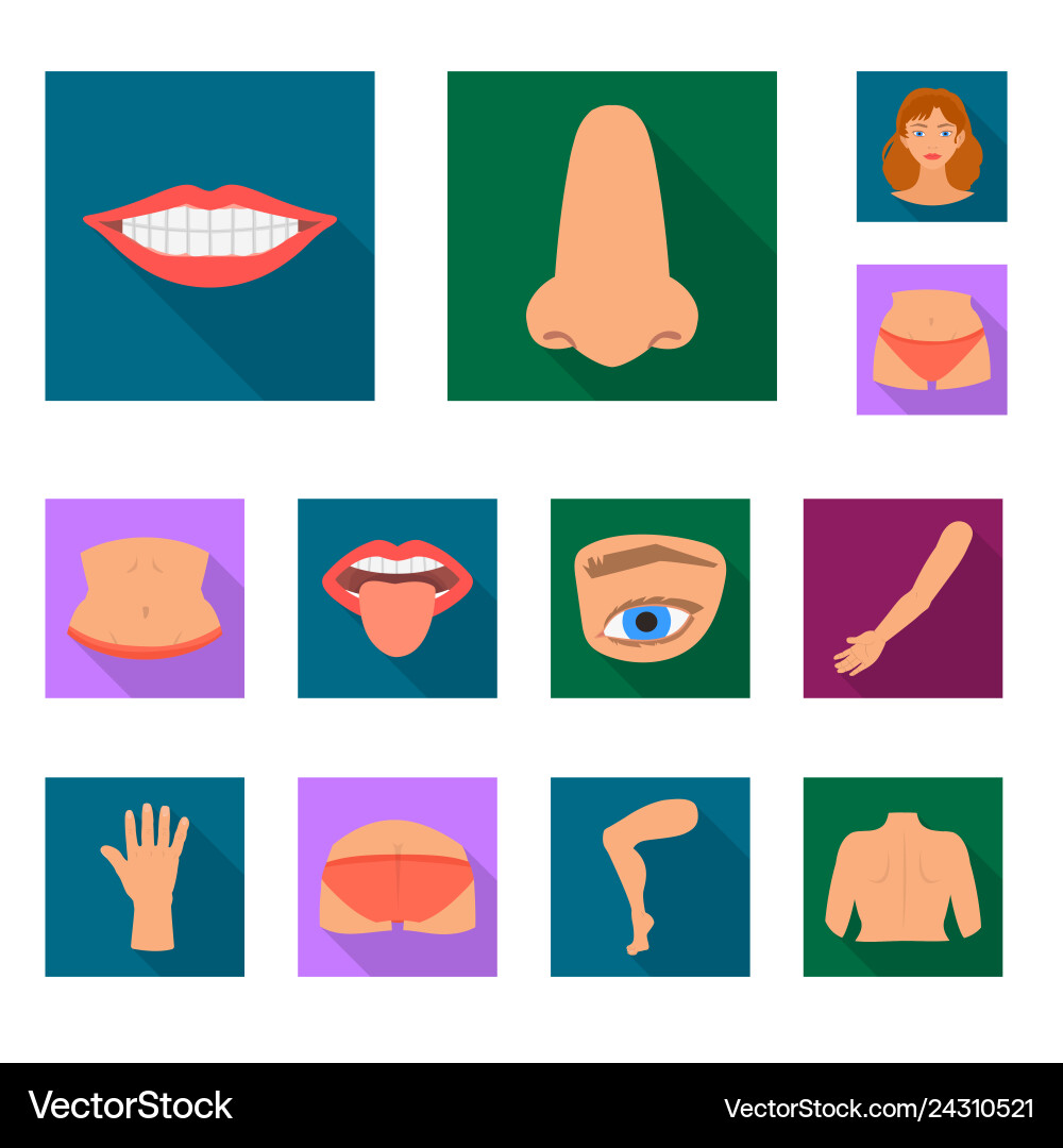 Design of body and part sign collection Design of body and part sign collection vector image