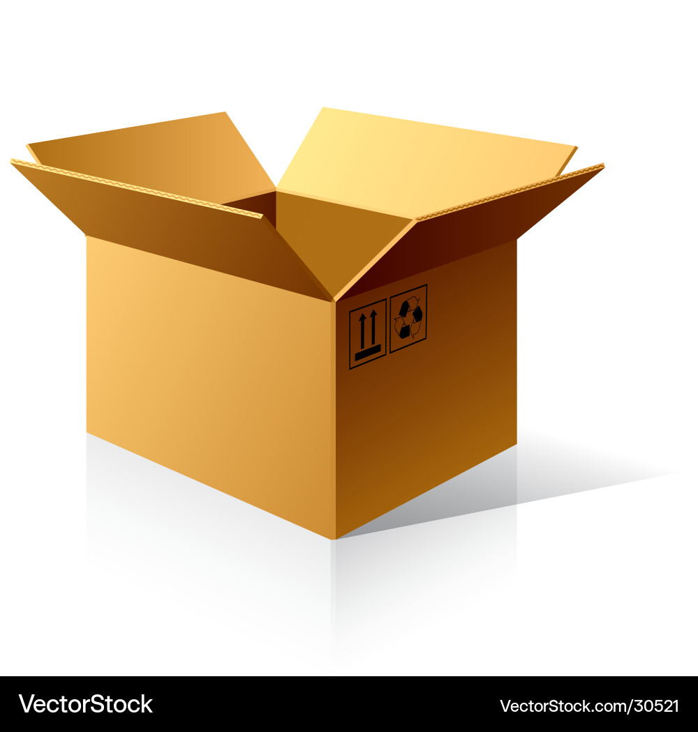 Empty Cardboard Box Vector Image