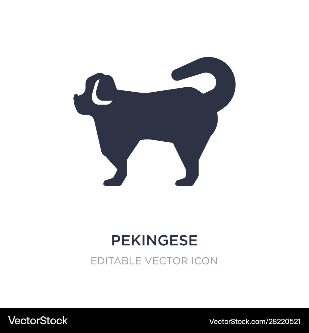 Pekingese icon on white background simple element vector image