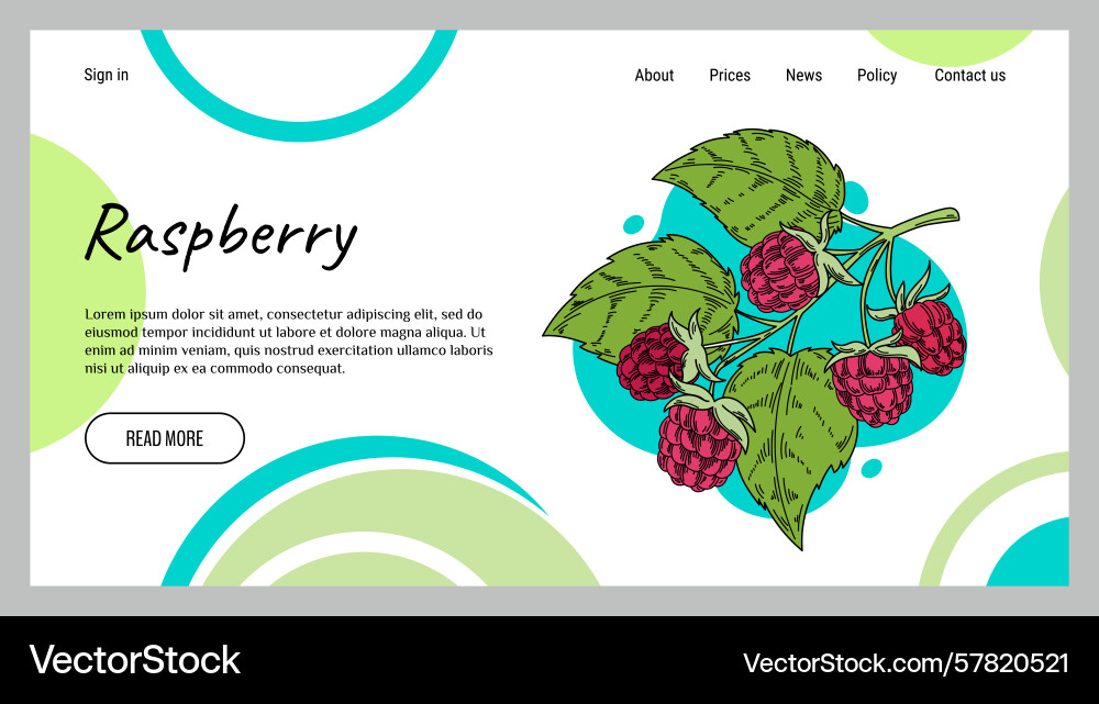 Raspberry web banner abstract background Vector Image