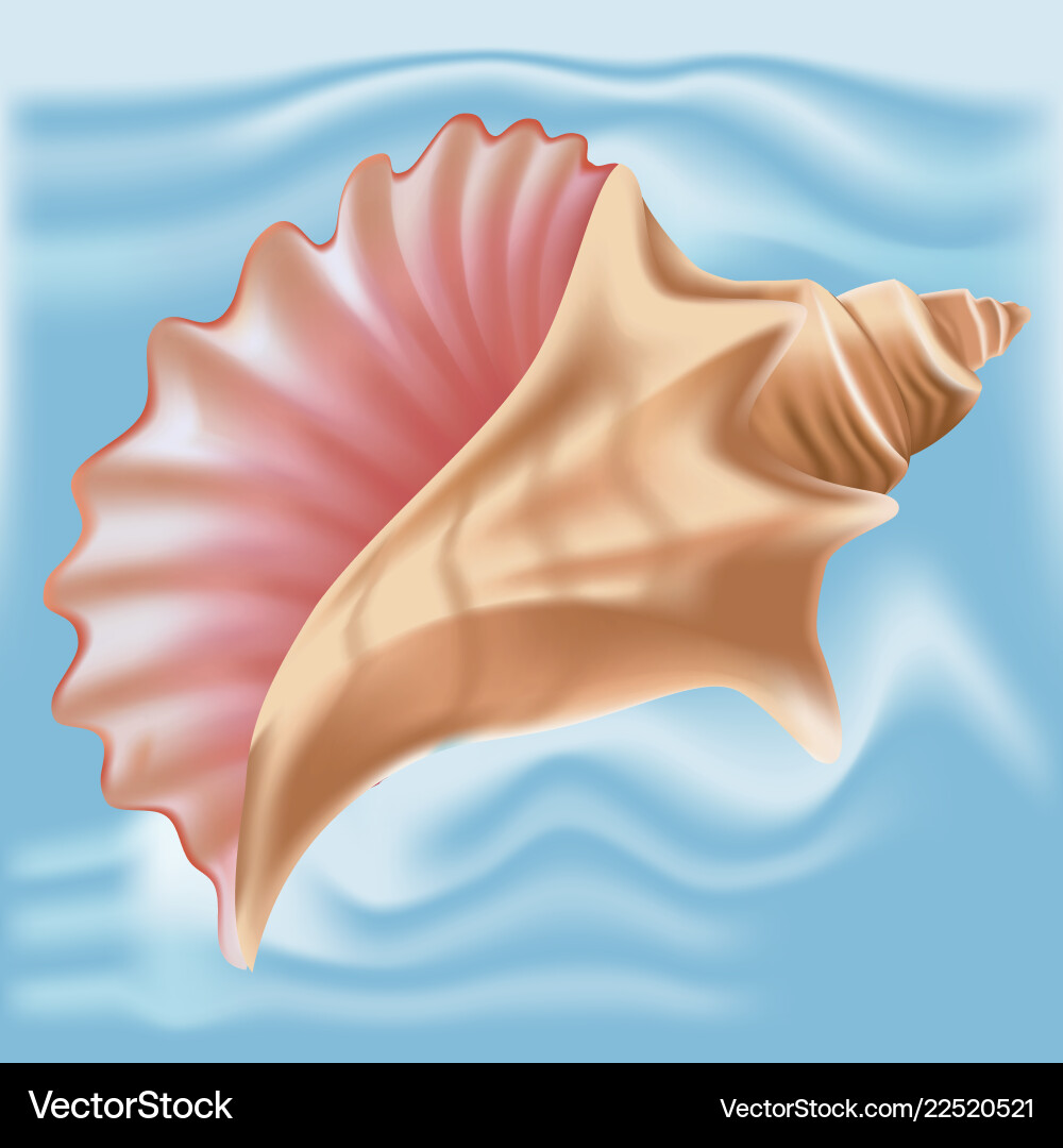 Sea shell in seashell isolated vector image