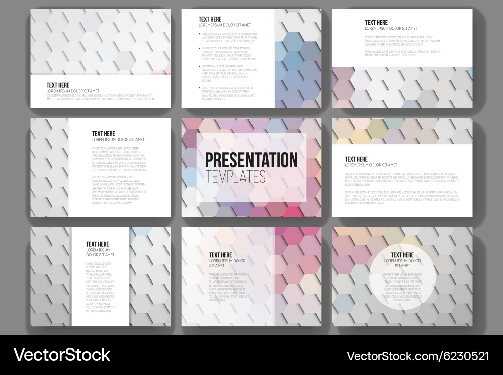 Set of 9 templates for presentation slides vector image