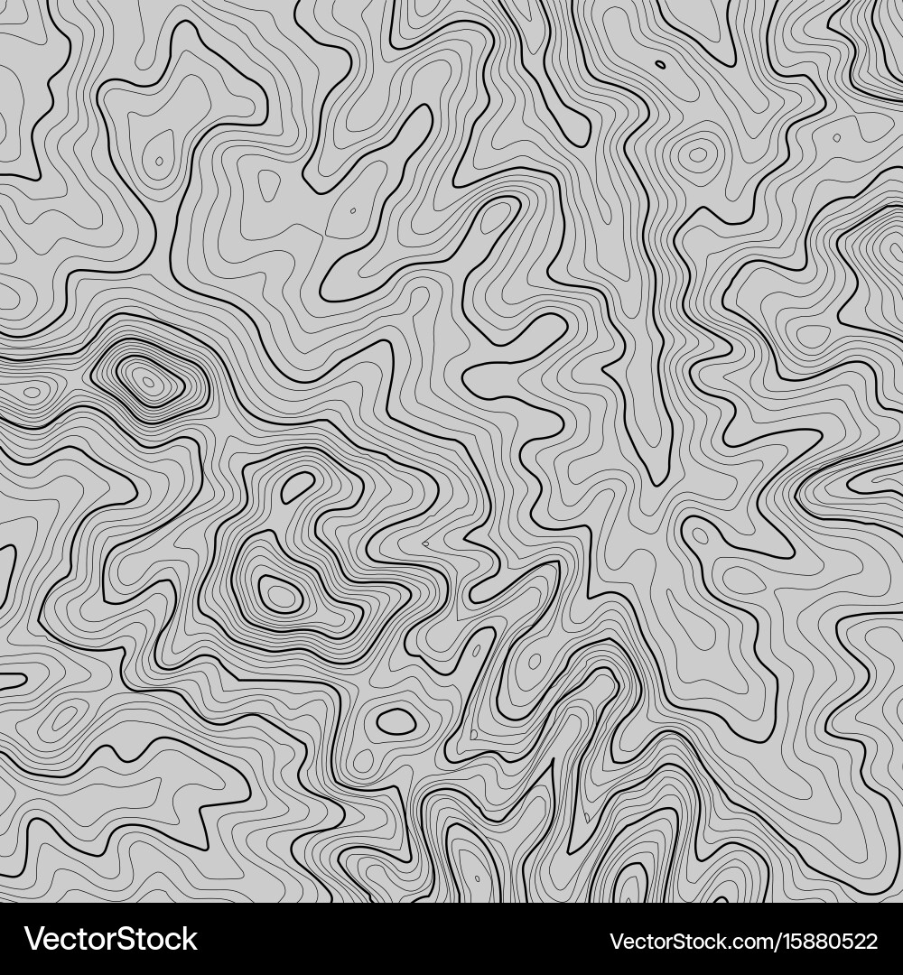 Topographic map background with space for copy Vector Image