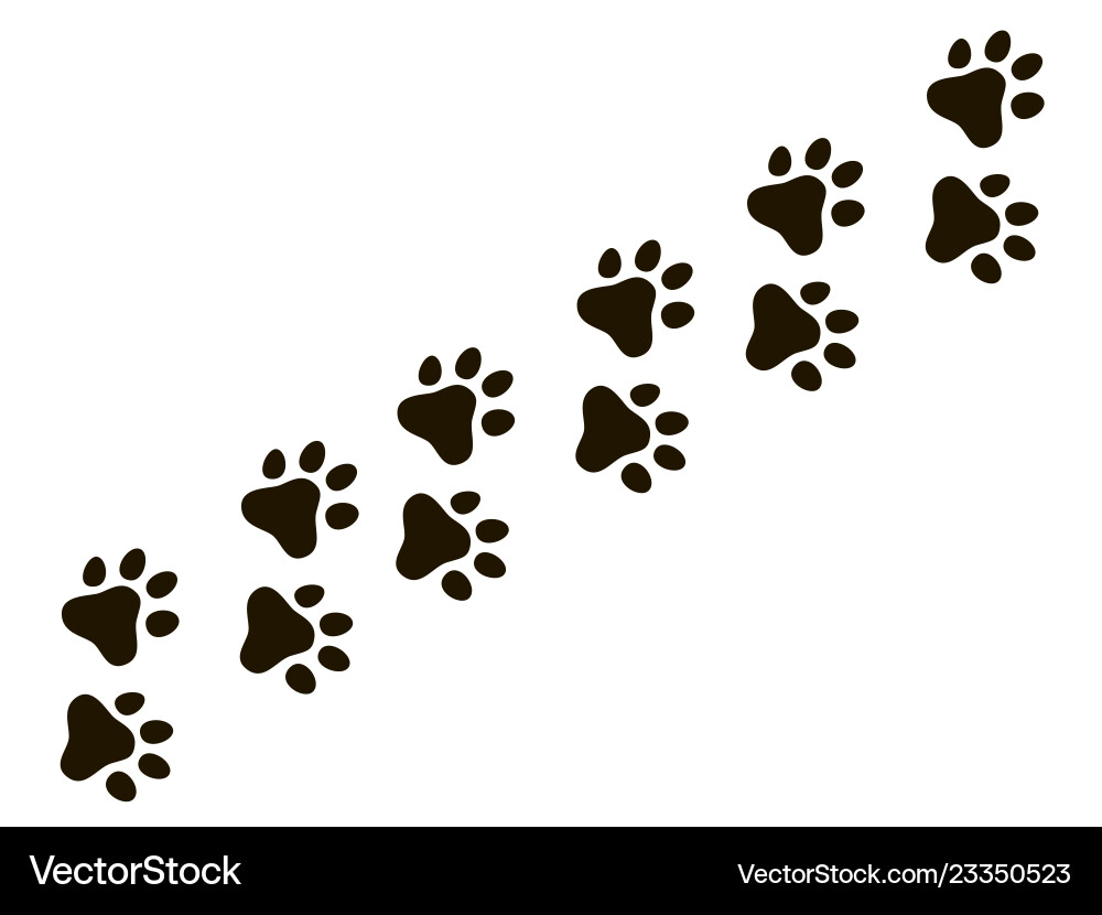 Animal Paw Prints Trail vector image