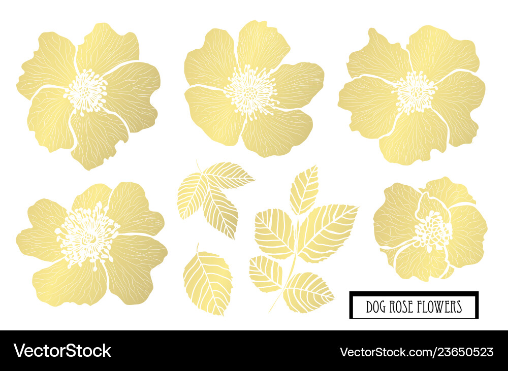 goldene Blumendekoration Goldene Blumendekoration vektorbild