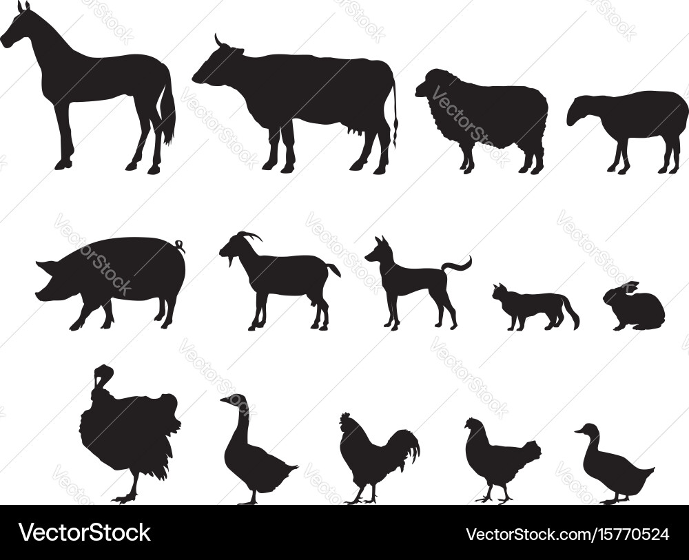 Farm Animal Silhouettes Vector Image