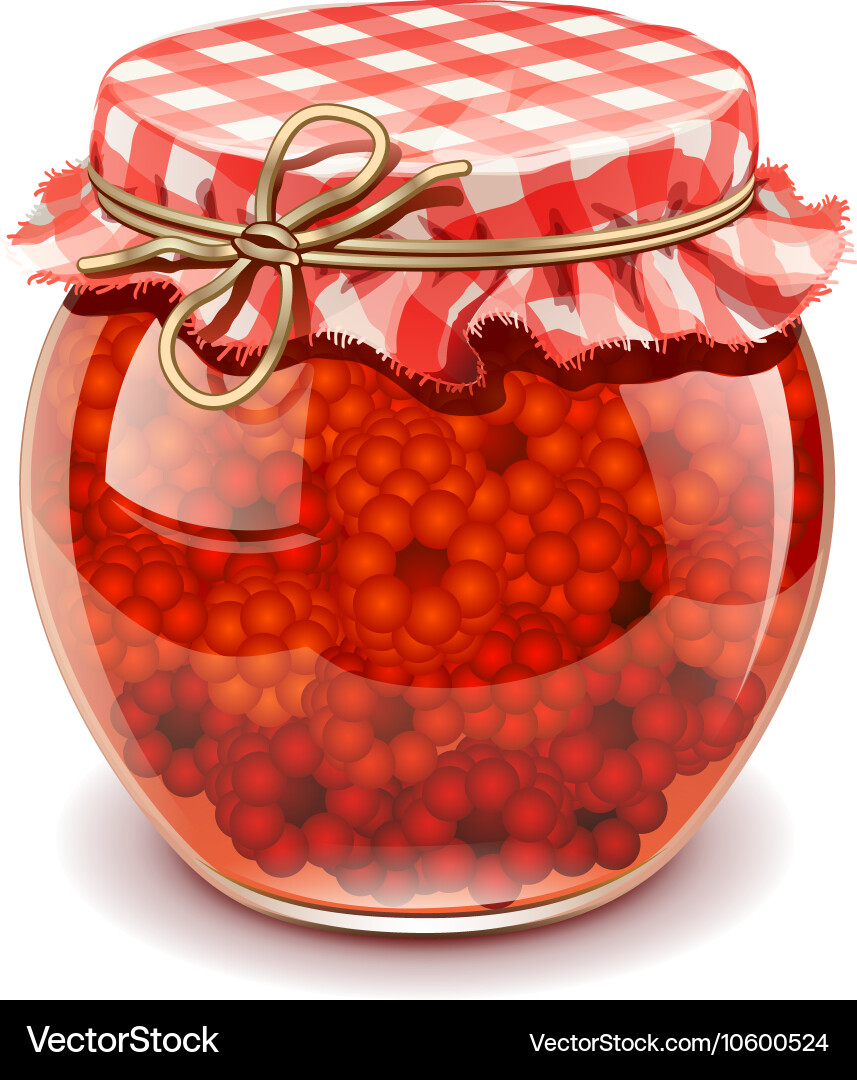 Raspberry Jam in Jar vector image