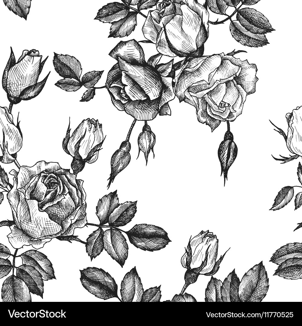 Antique Floral Pattern vector image