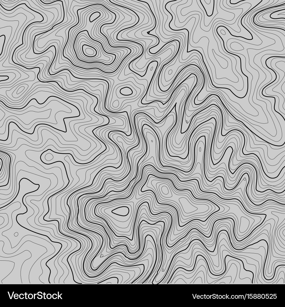 Topographic map background with space for copy Vector Image