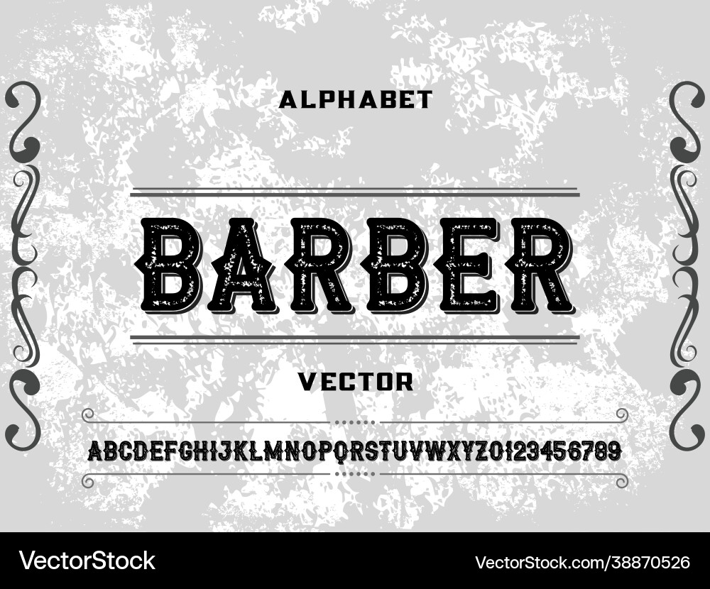 Alphabet fonttypefacescriptshadow Alphabet fonttypefacescriptshadow vector image