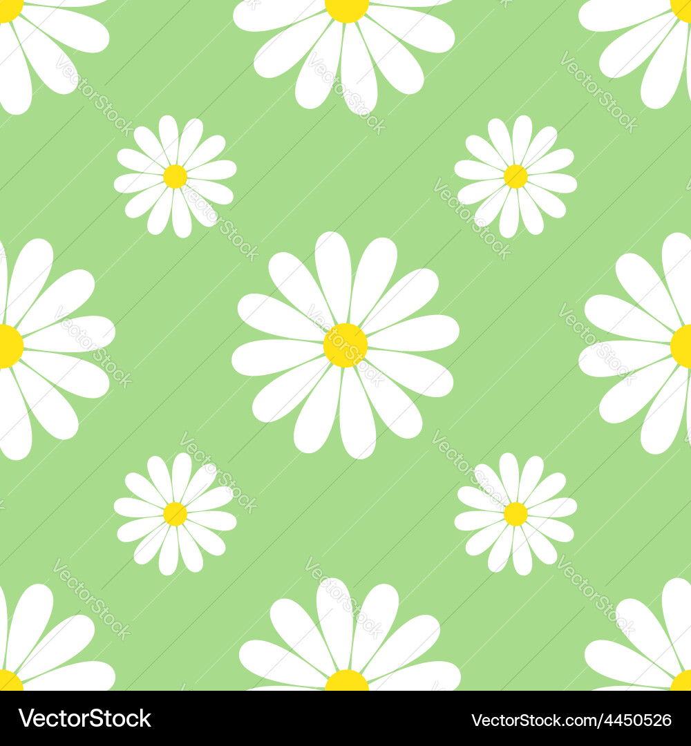 Chamomile Spring Seamless Pattern vector image