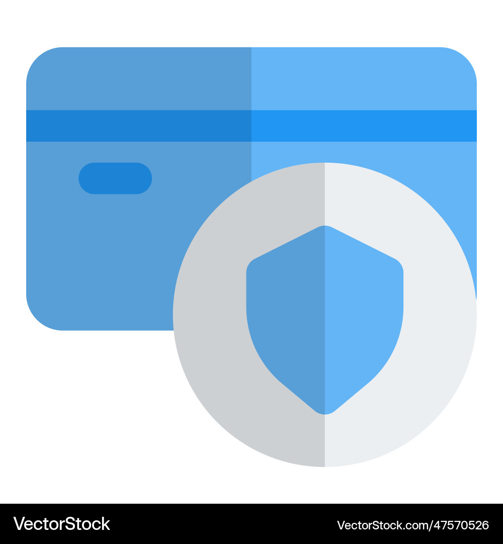 Secure payment with online gateway card Vector Image