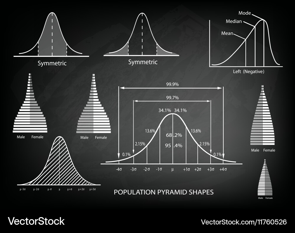 Standard deviation diagram with sample size chart vector image