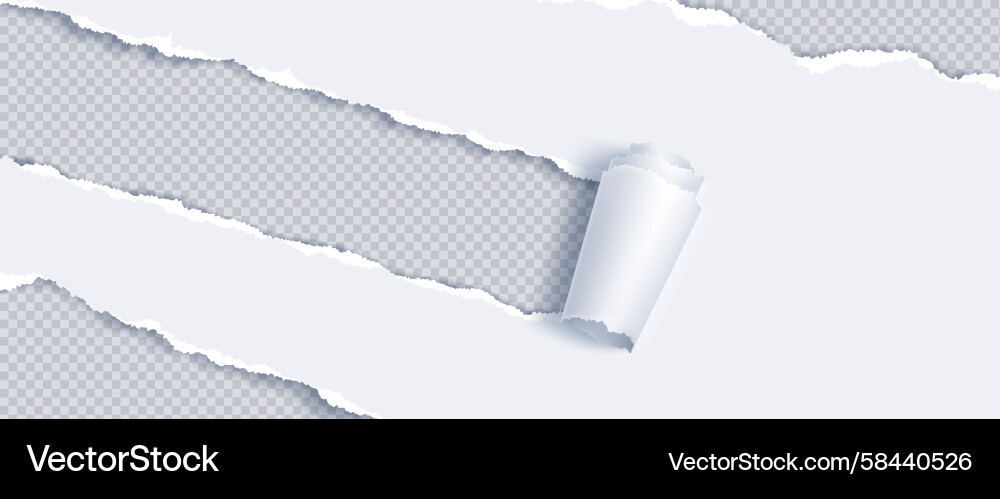 Torn White Paper with Curl Vector Image