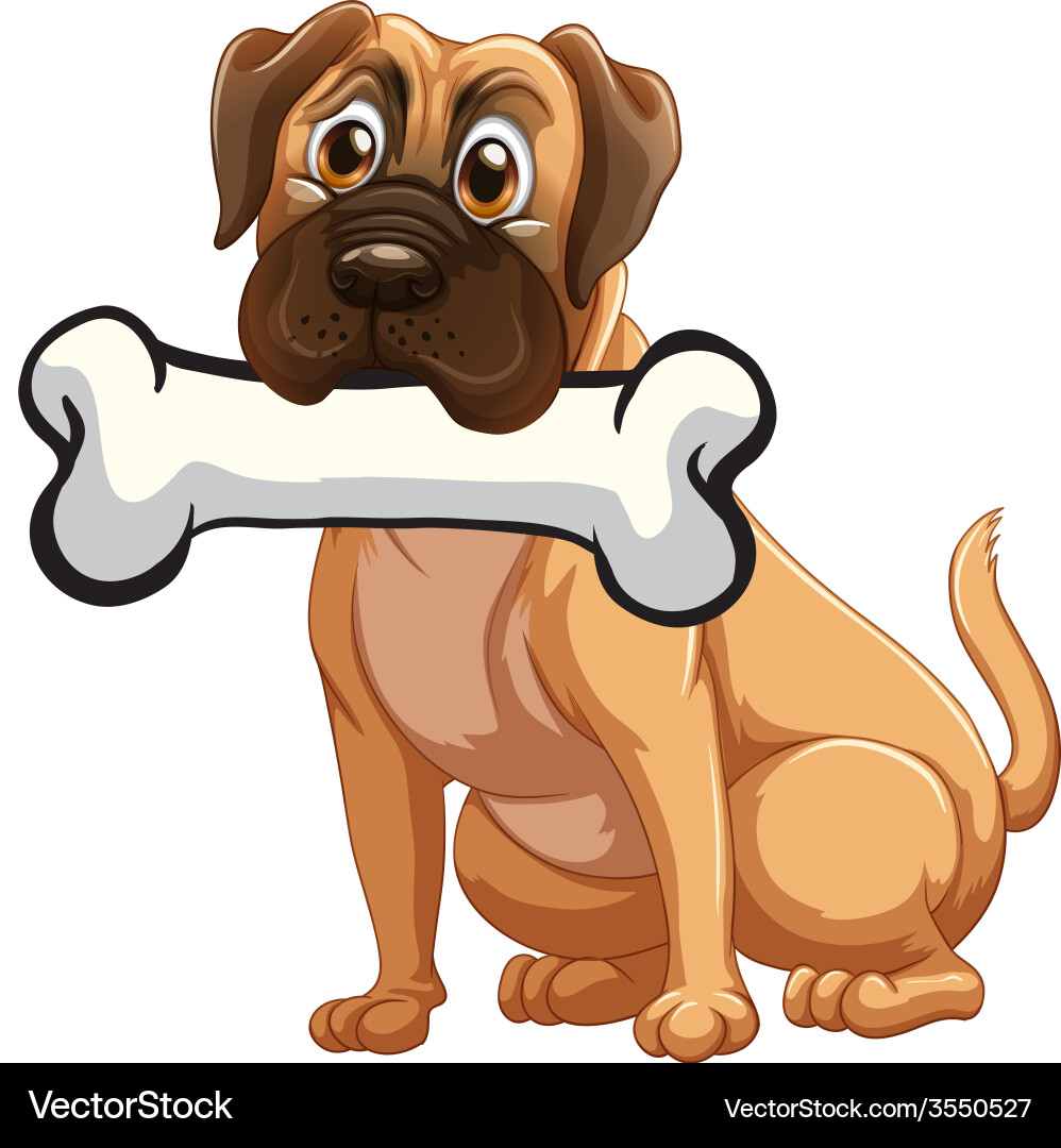 A dog with bone vector image