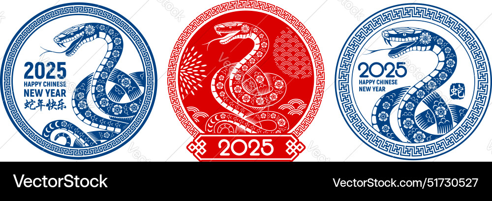 Chinese new year 2025 of the snake emblem Vector Image