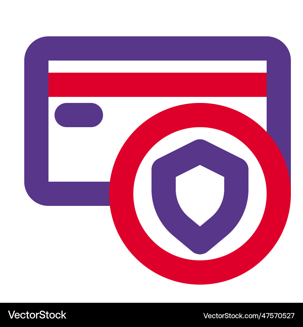 Secure payment with online gateway card vector image