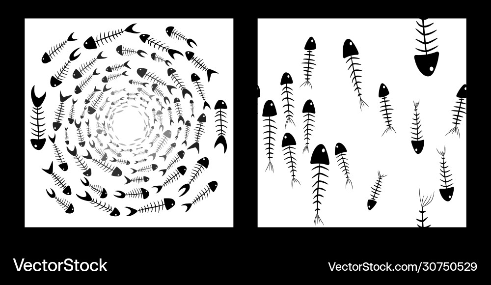 Set skeleton patterns Set skeleton patterns vector image