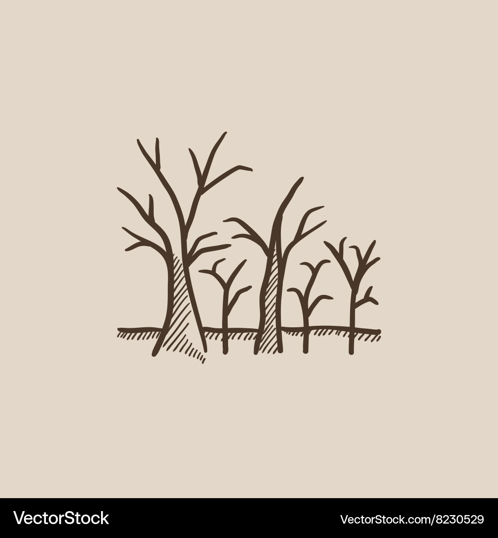Tree with bare branches sketch icon vector image
