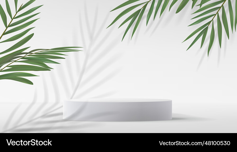 Abstract minimalistic gray background with palm Abstract minimalistic gray background with palm vector image