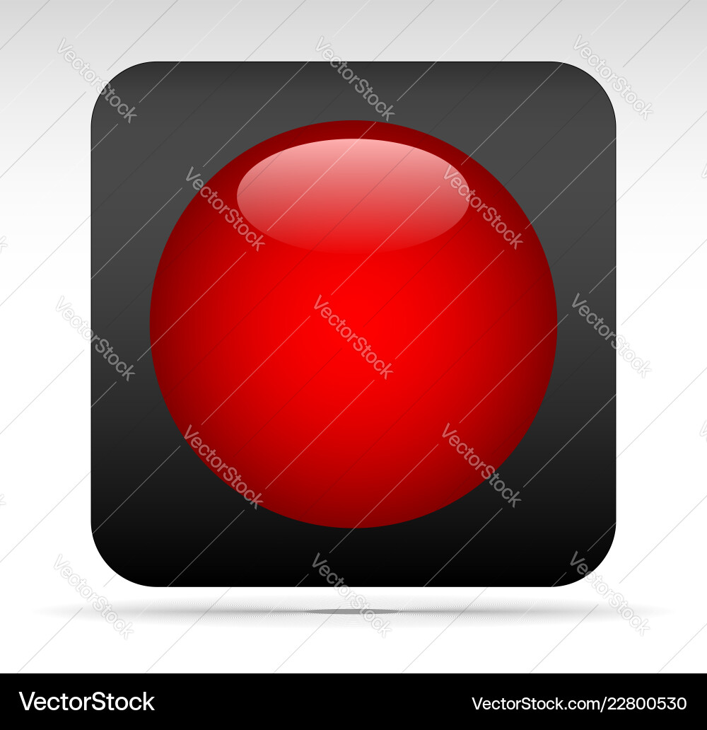 Record rec button vector image