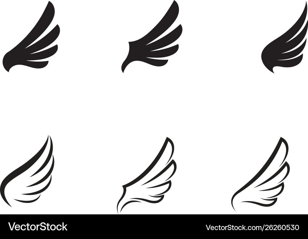 Wing falcon logo template Vector Image