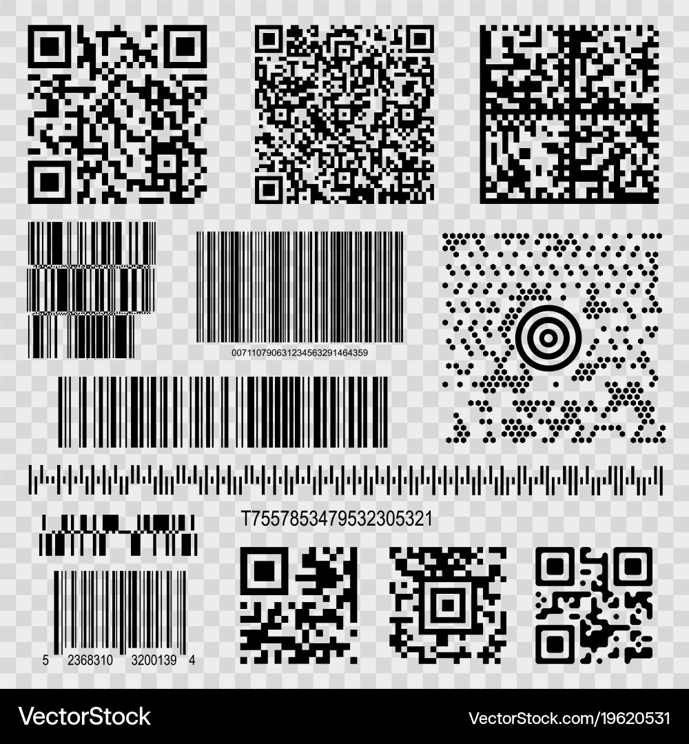 QR Codes and Barcodes vector image