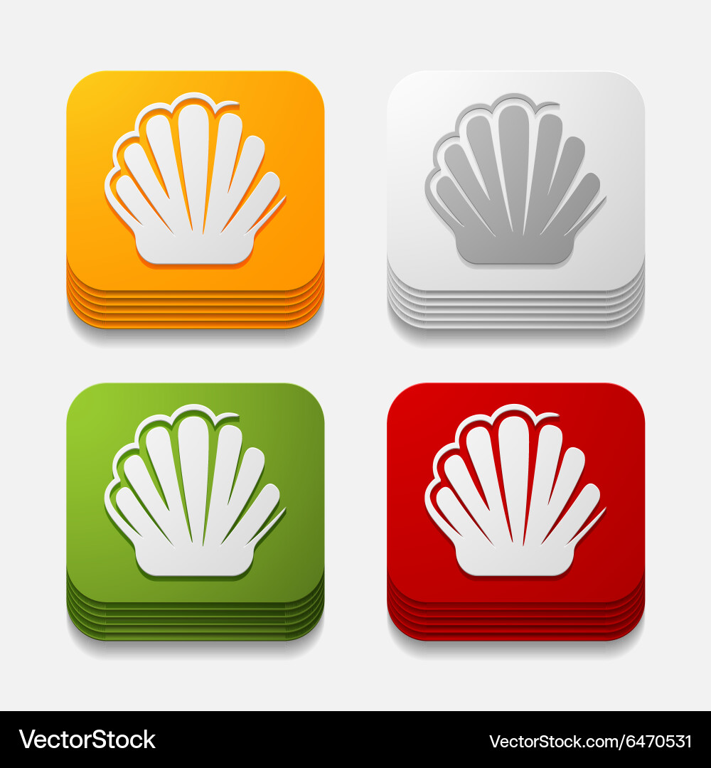Square button shell Vector Image
