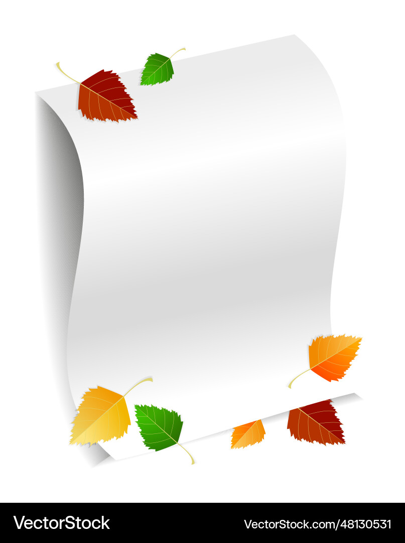 White sheet of a4 paper with space for text White sheet of a4 paper with space for text Vector Image