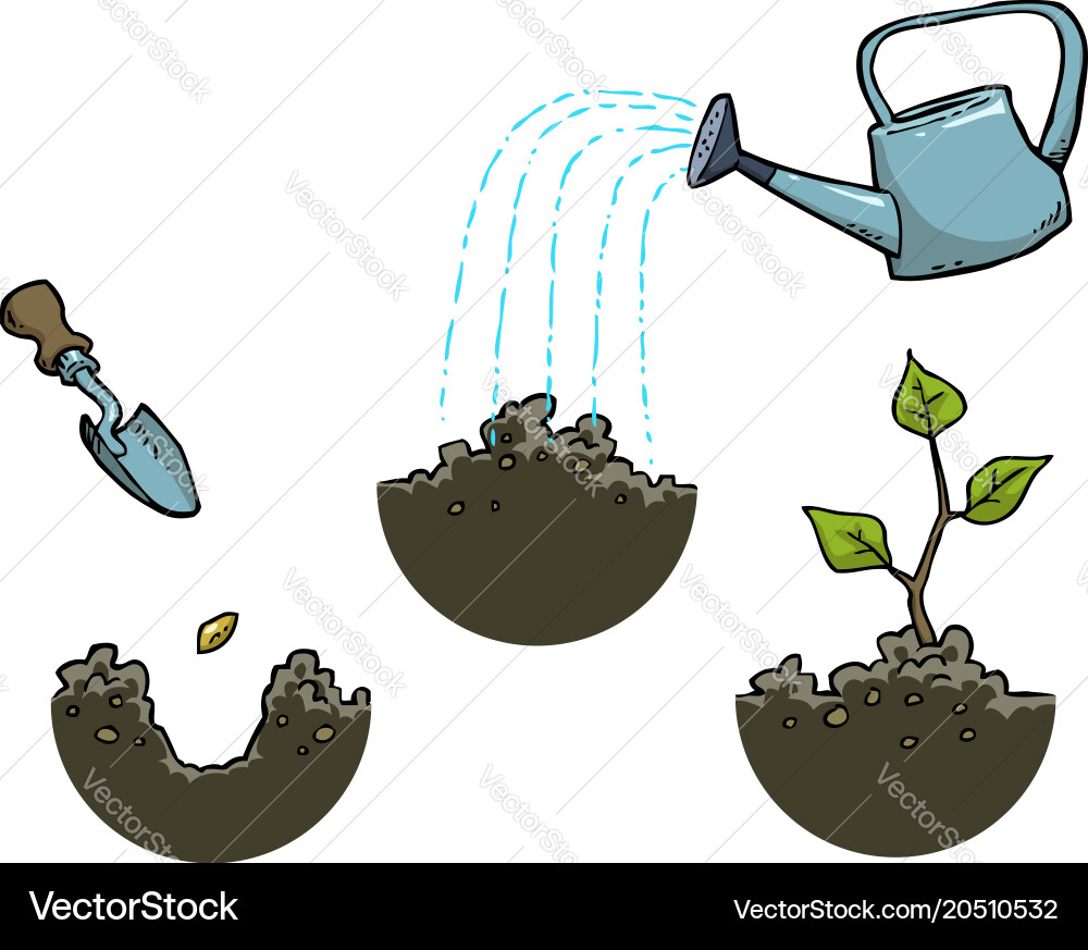 Growing a plant Royalty Free Vector Image - VectorStock