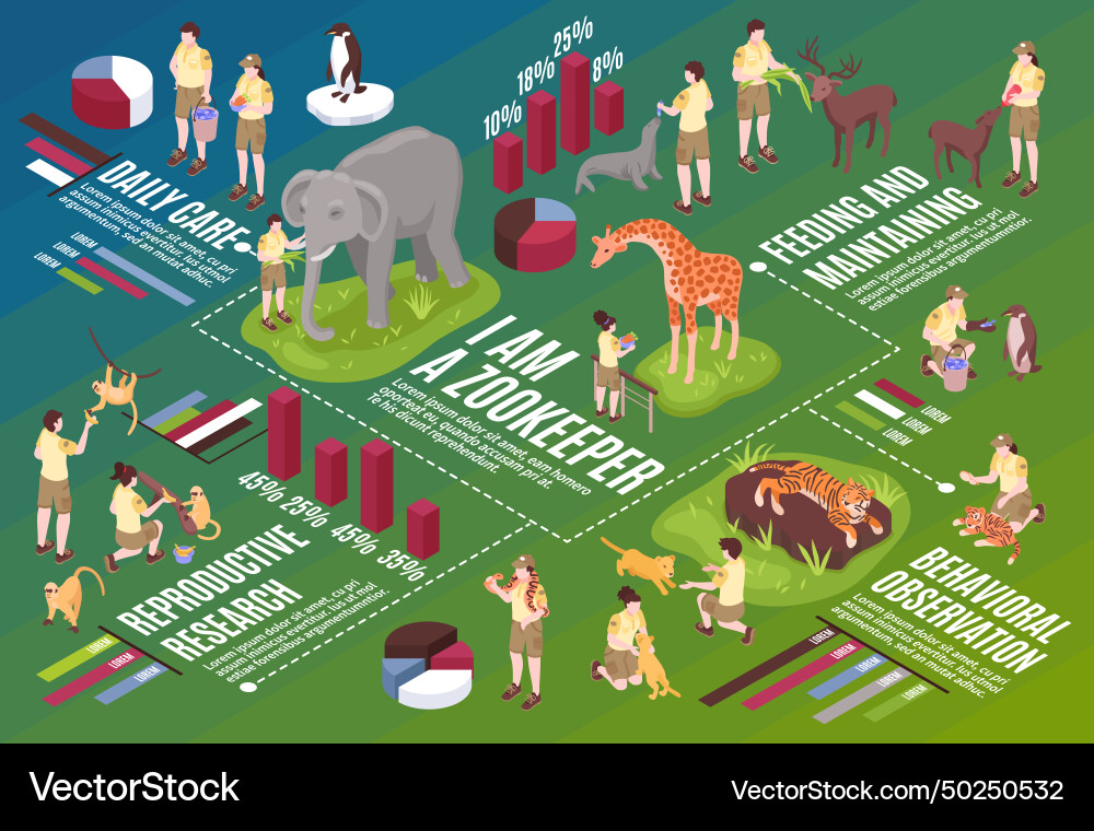 Isometric Zoo Workflow Chart Vector Image
