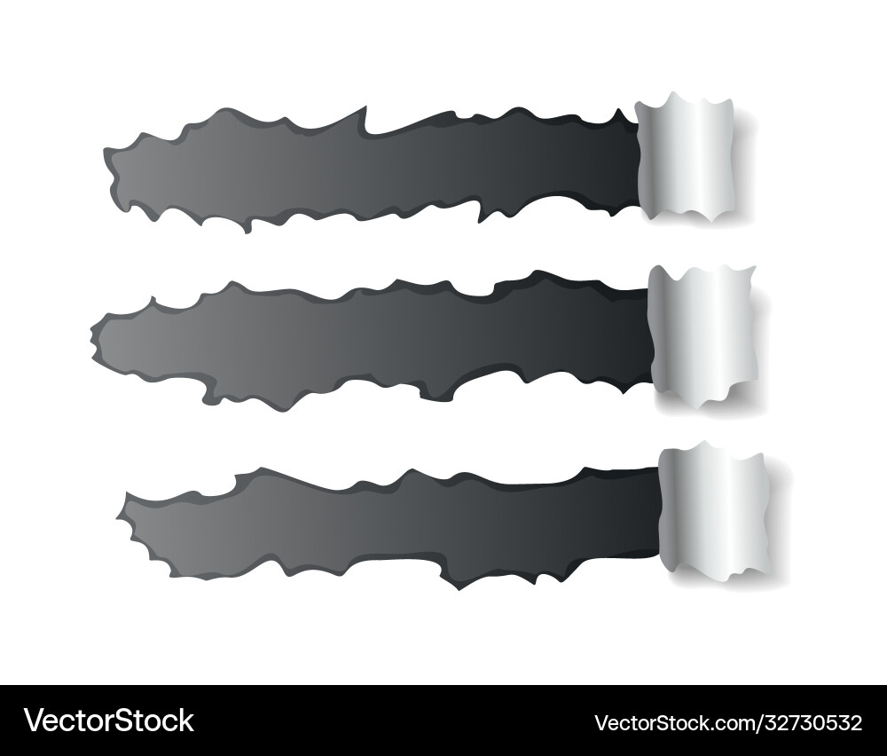 Paper hole realistic torn Paper hole realistic torn vector image