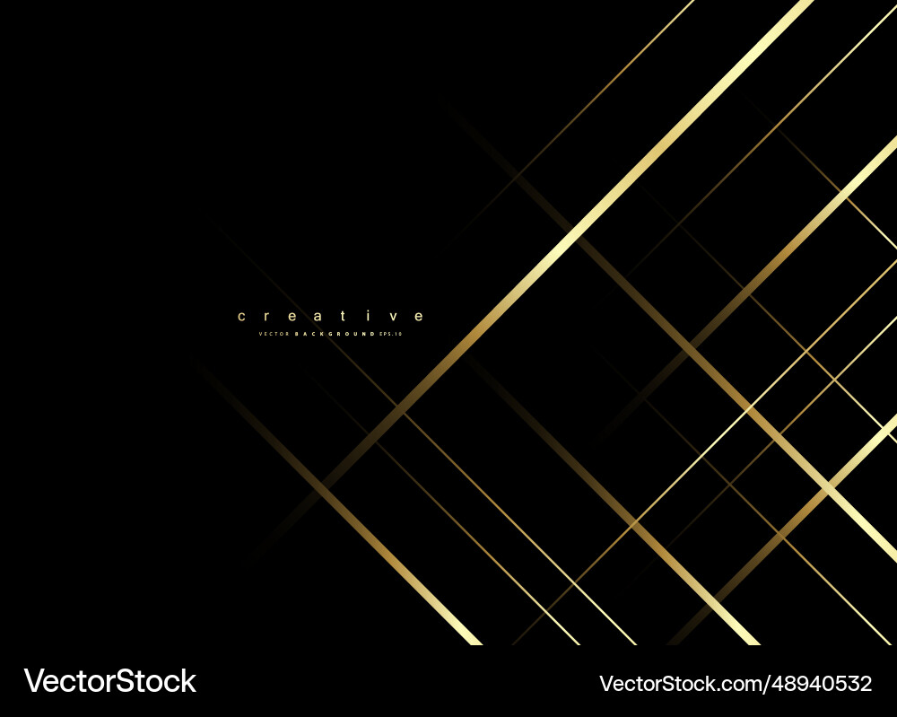 Premium line background abstract luxury pattern Vector Image