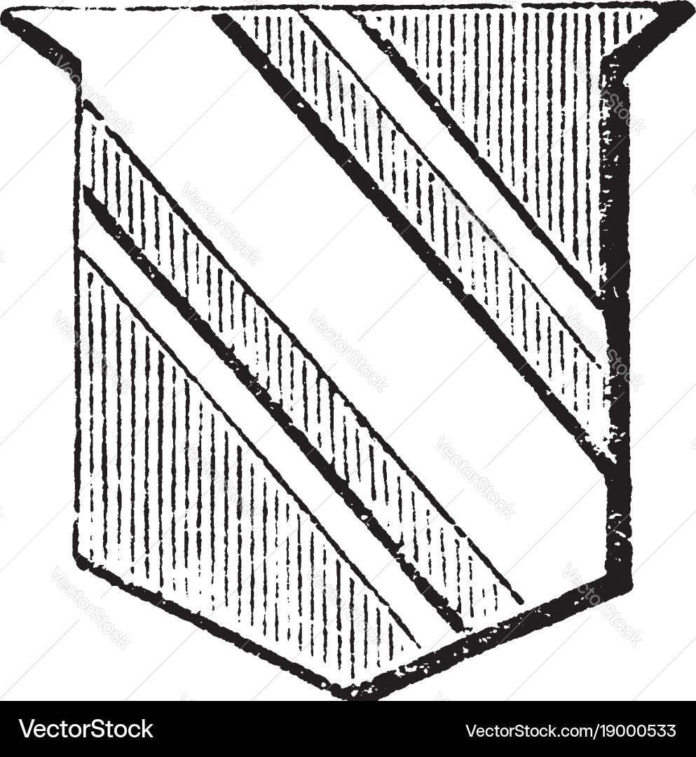 Shield showing cotice is one third less than vector image