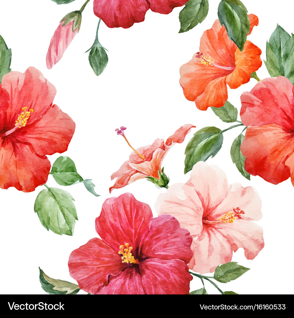 Tropical Watercolor Hibiscus Pattern vector image
