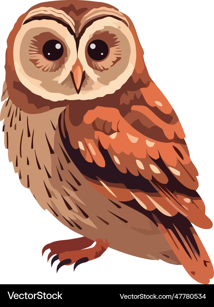 Cute cartoon eagle owl with sharp beak – Royalty-Free Vector | VectorStock, image size:751x1080