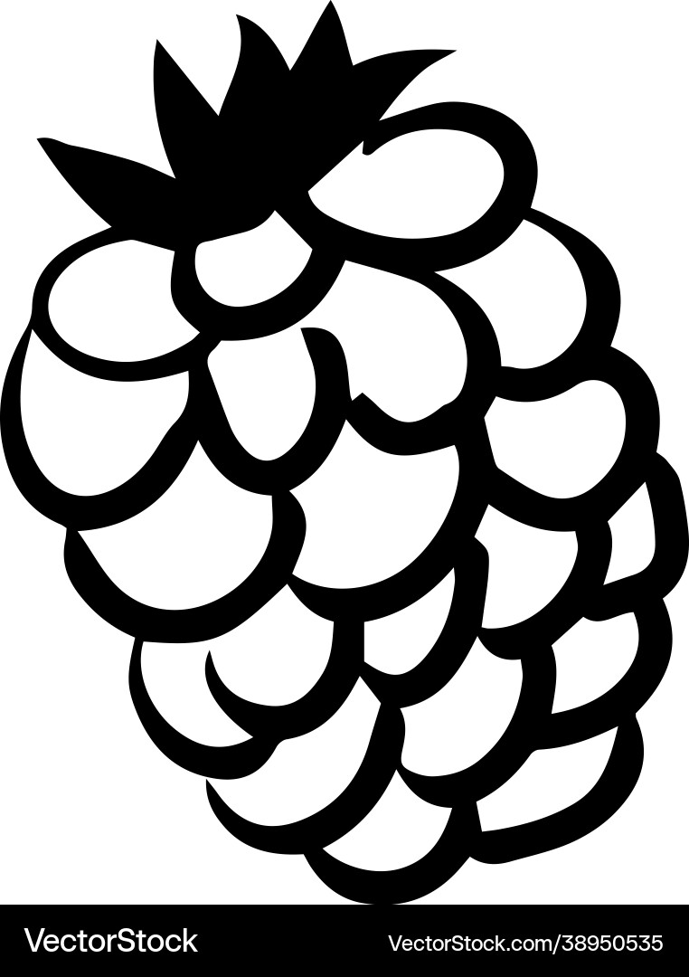 Isolated lineart style black color raspberry Vector Image