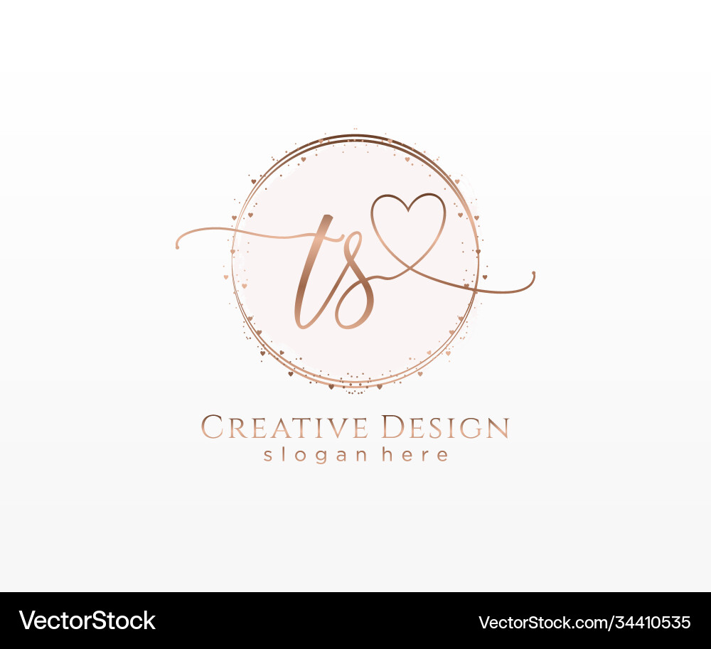 TS Initial Handwriting Logo Royalty Free Vector Image