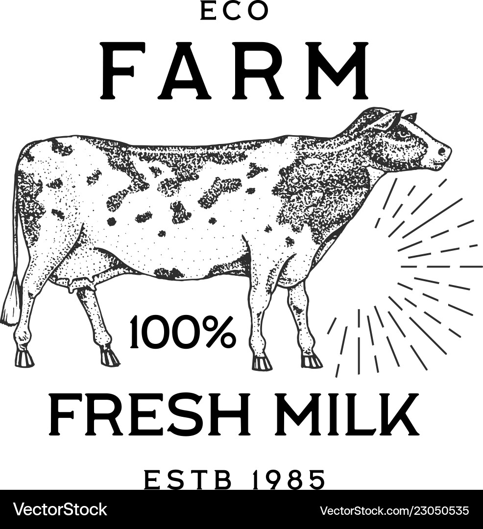 Zuchtrinder oder Kuh natürliche Milch und Fleisch Zuchtrinder oder Kuh natürliche Milch und Fleisch vektorbild