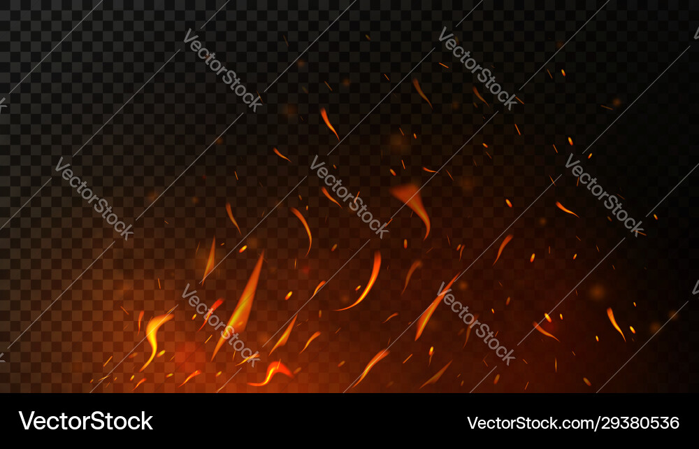 Fire sparks on dark transparent background flying Fire sparks on dark transparent background flying vector image