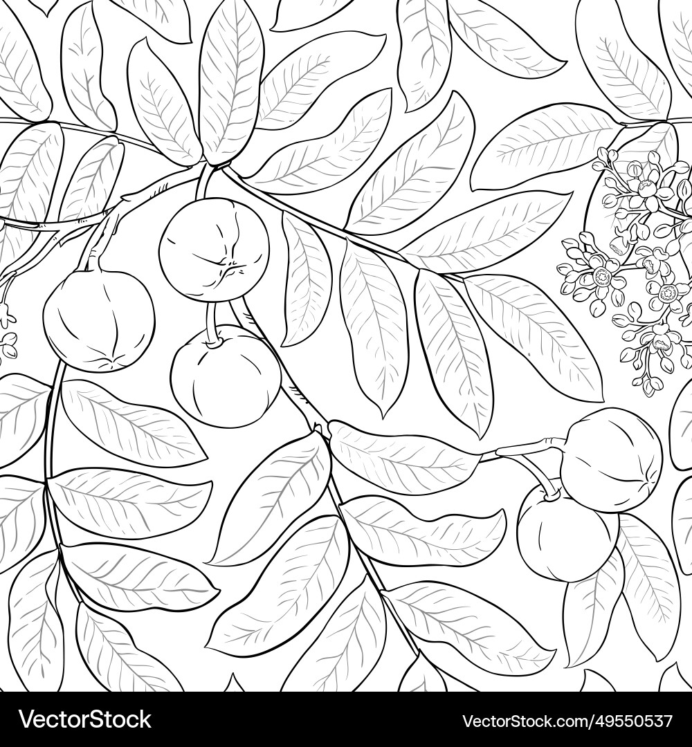 Andiroba branches pattern Andiroba branches pattern vector image